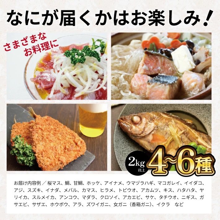 SB0523　地魚おまかせセット　計2kg以上(4～6種類入)