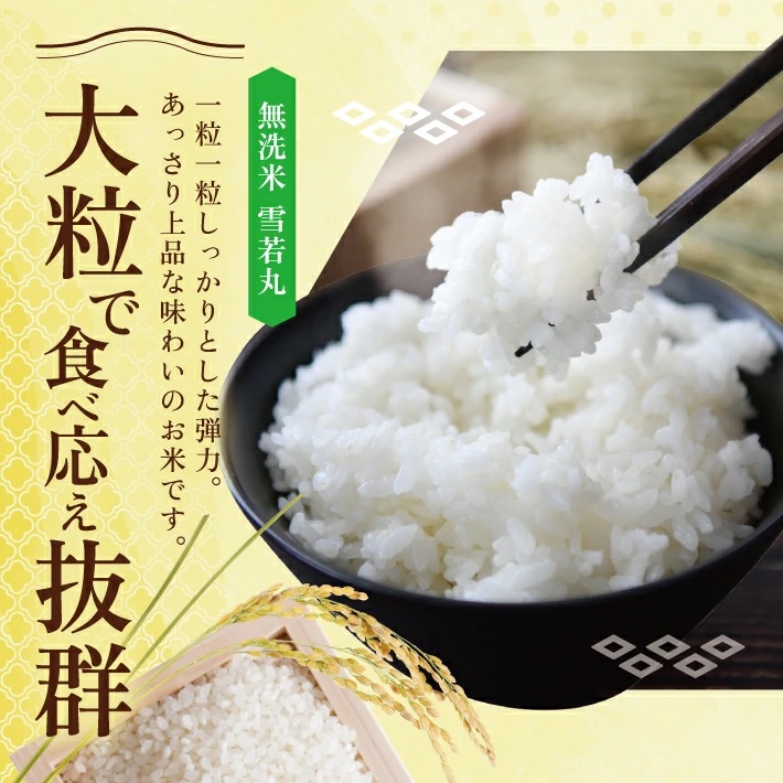 SJ0043　【6回定期便】令和7年産 無洗米 雪若丸　5kg×6回(計30kg) KN