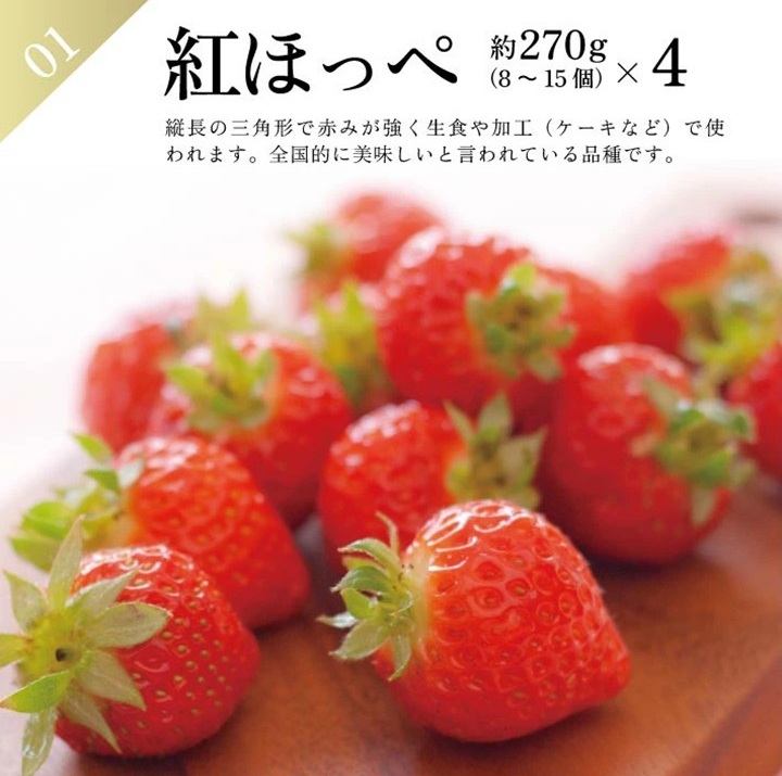 SE0466　【3回定期便】農家直送 おすすめのフルーツ定期便2026 (いちご、庄内メロン、青ぶどう)