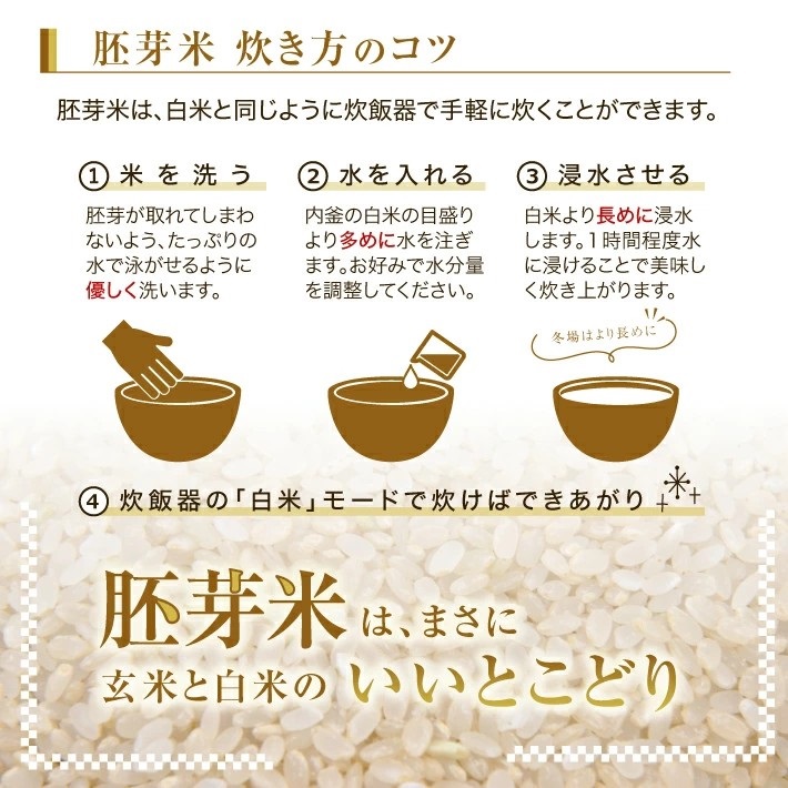 SA2835　令和7年産 【胚芽米】 はえぬき 5kg×1袋 YA