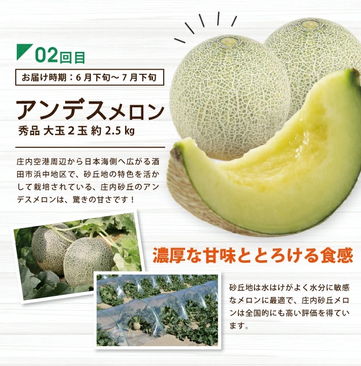 SF0302　【5回定期便】酒田の実り定期便2026 (小玉すいか、アンデスメロン、刈屋梨、庄内柿、ラ・フランス)