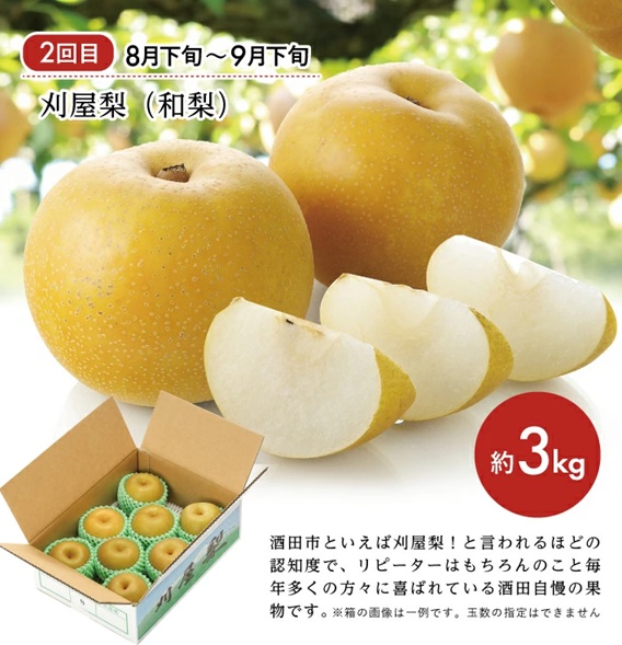 SE0486　【3回定期便】酒田の美味しい果物！甘くて瑞々しい旬をお届け便2026 (アールスメロン、刈屋梨、庄内柿)