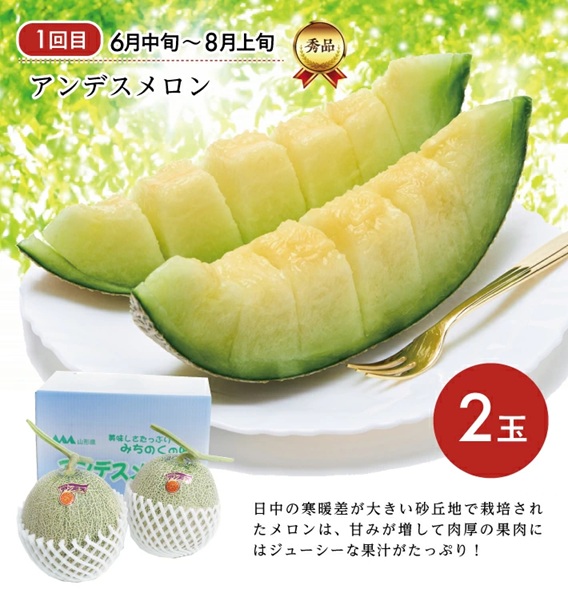 SE0491　【3回定期便】庄内の口福フルーツマルッとお届け便2026 (アンデスメロン、刈屋梨、庄内柿)