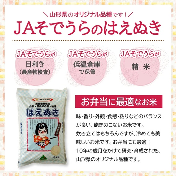 SF0337　【3回定期便】令和7年産［精米］はえぬき　5kg×3回(計15kg) JS