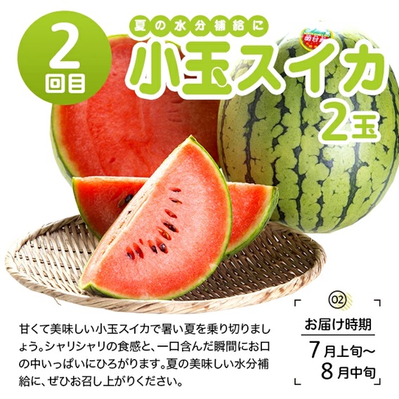 SG0108　【4回定期便】酒田のおいしい夏秋果物セット2026 (アンデスメロン、小玉すいか、刈屋梨、庄内柿)