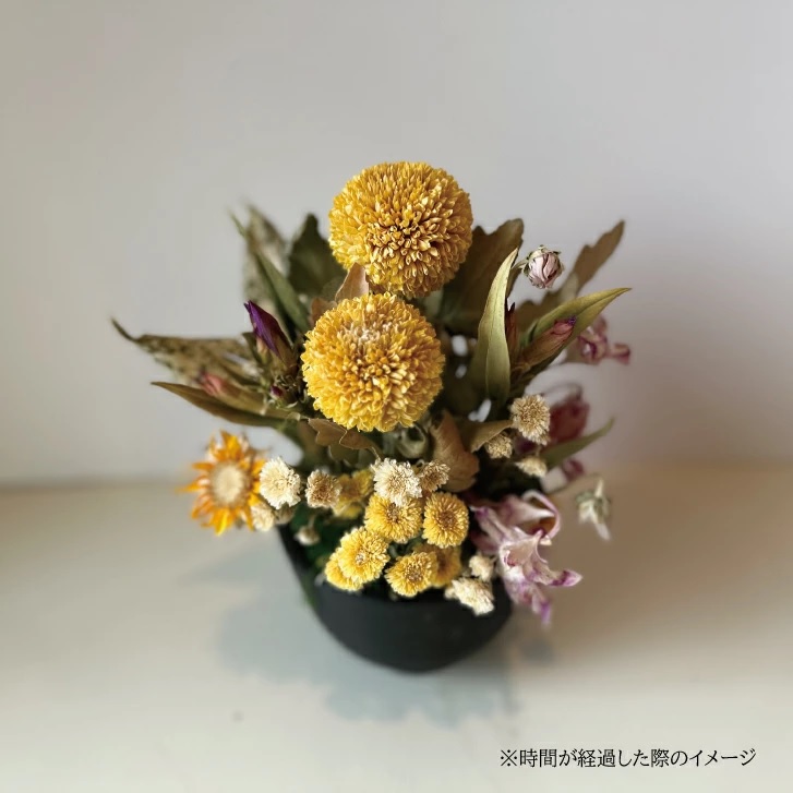 SL0243　お供えフリーズドライアレンジ「メモリアル」水のいらない花　ゼロフラワー