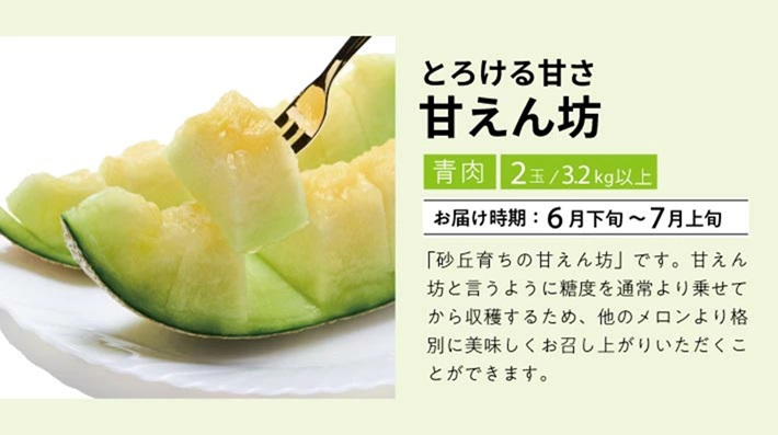 SE0504　【3回定期便】自然の恵み　春・夏フルーツ定期便2026(いちご、青肉メロン、小玉スイカ)