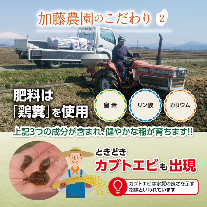 SA2707　令和7年産【精米】特別栽培米コシヒカリ　5kg×1袋「農家直送」 KA