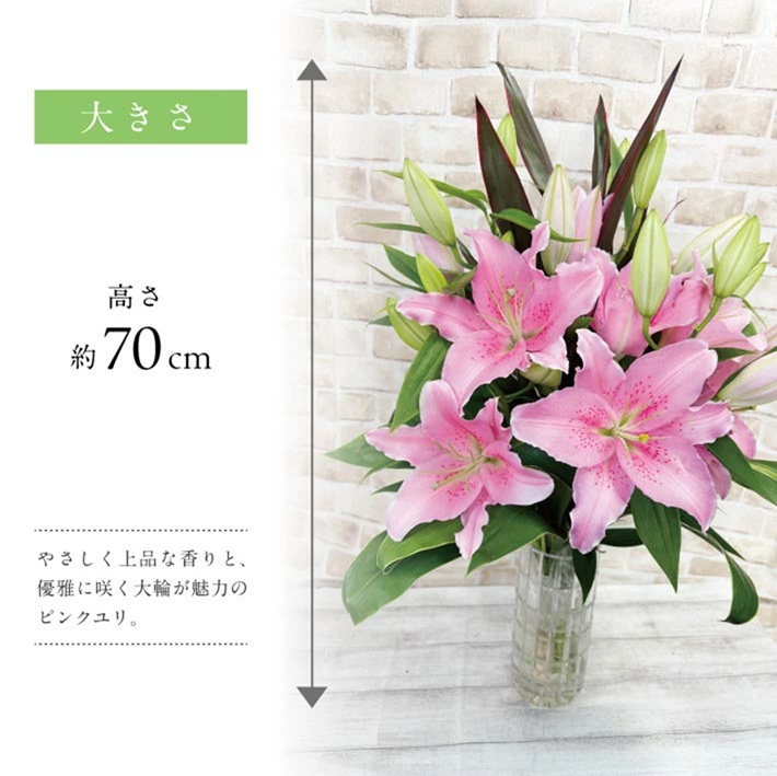 SBT0018　【12回定期便】ピンクユリの花束