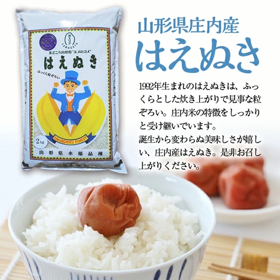 SF0290　【6回定期便】無洗米 はえぬき　2kg×6回(計12kg) SA