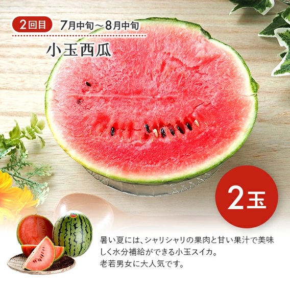 SE0493　【3回定期便】果汁がひろがる！ 酒田の美味しい果物お届け便2026 (アンデスメロン・小玉すいか・刈屋梨)