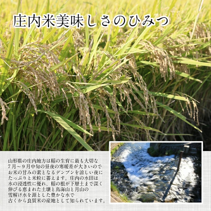 SD0240　令和7年産【精米】はえぬき　10㎏(5kg×2袋) 《農産物検査員おすすめの庄内米》 SY