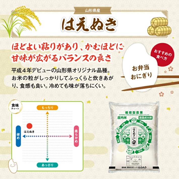 SI0058　【4回定期便】令和7年産 ［無洗米］はえぬき　5kg×4回(計20kg)