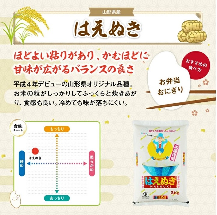 SU0020　【12回定期便】［精米］はえぬき　5kg×12回(計60kg) TO