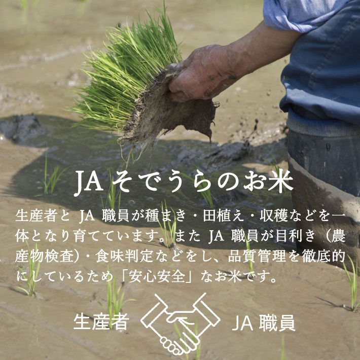 SA2815　令和7年産【精米】はえぬき　5kg(5kg×1袋) JS