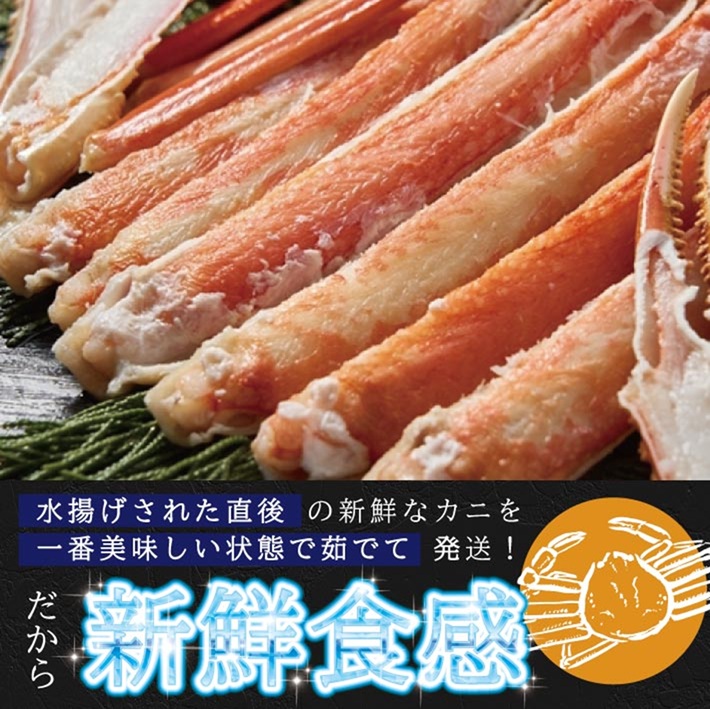 SD0235　春のボイル・本ズワイガニ　1匹400g程度