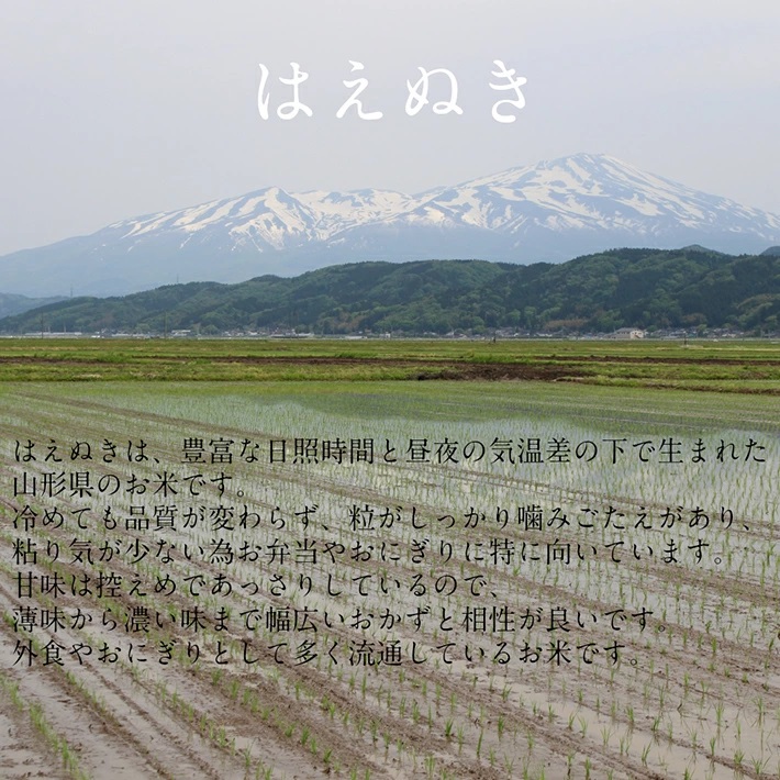 SE0553　令和7年産【白米】はえぬき　15kg(5kg×3袋) YA