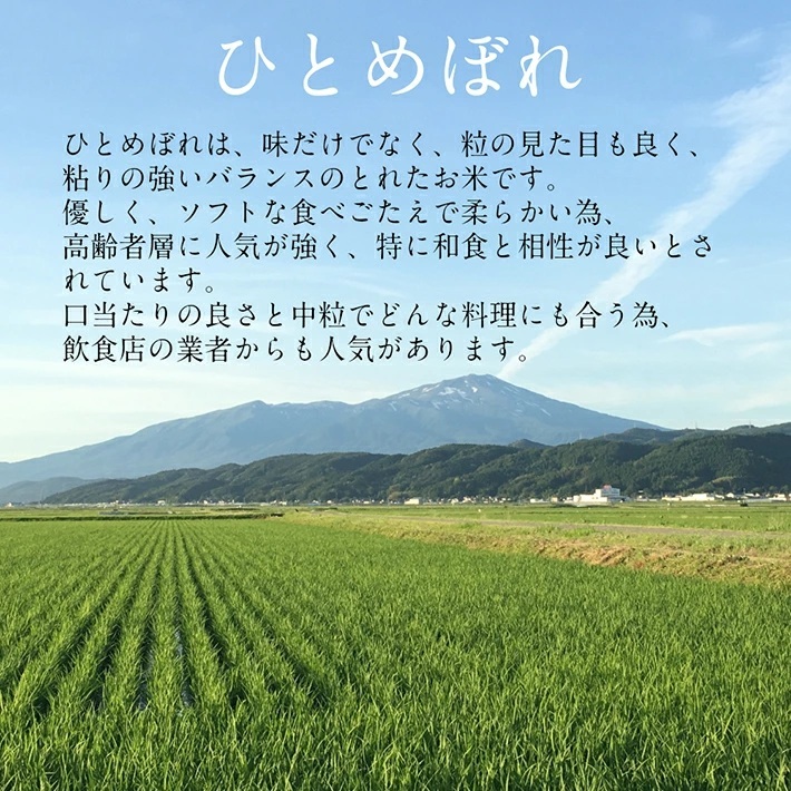 SE0555　令和7年産【白米】ひとめぼれ　15kg(5kg×3袋) YA