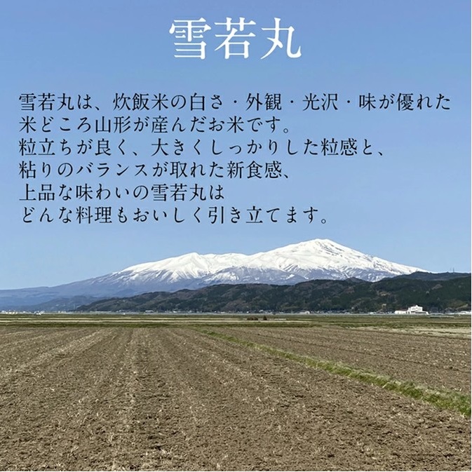 SA2842　令和7年産【白米】雪若丸　5kg(5kg×1袋) YA