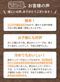 SA0546　日本の米育ち　三元豚調理済みハンバーグセット