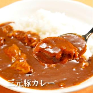 SC0503　日本の米育ち金華豚・三元豚コラーゲン入りカレーギフト
