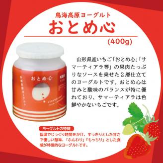 SA1814　鳥海高原ヨーグルトＦセット