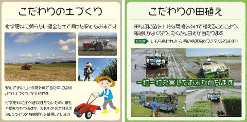 SF0112　【6回定期便】令和5年産 特別栽培米 つや姫5kg×6回(計30kg)〈太ももの会〉 FU