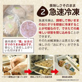 SC0395　もち米 玄米おにぎり プレーン50個