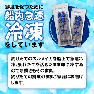 SB0401　船内急速冷凍するめいか　8尾