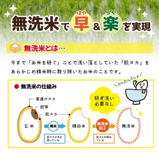 SM0056　【隔月6回定期便】無洗米 ひとめぼれ　5kg×6回(計30kg)　農家直送『いいあん米』 AG