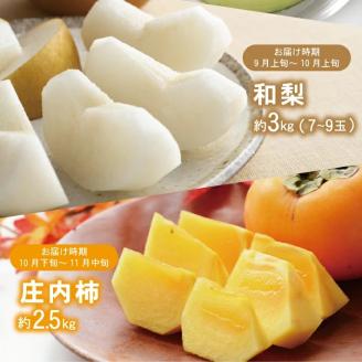 SE0470　【3回定期便】酒田の果物専門店厳選　くだもの定期便2026 (浜王メロン、和梨、庄内柿)