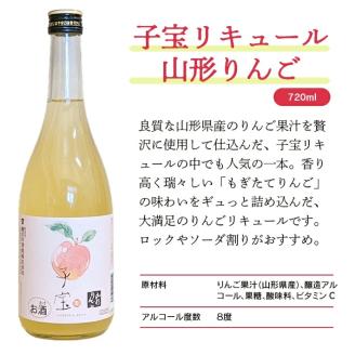 SZ0137　酒田の酒屋厳選　子宝リキュール 山形りんご　720ml×1本