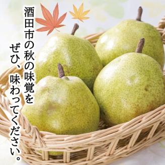 SB0670　酒田の美味しいラ・フランス(洋梨) 秀品　約5kg(12～18玉入)