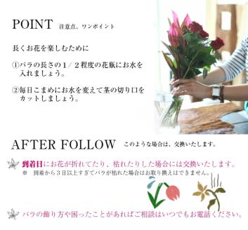 SL0236　【12回定期便】毎月バラを飾ろう 「バラのある生活 12」