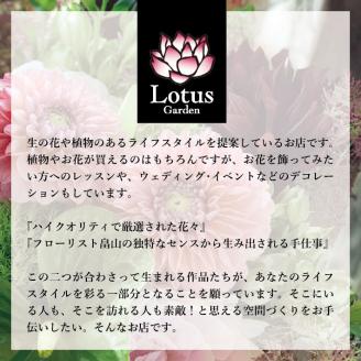 SL0220　【4回定期便】「季節の花や植物の定期便 んだの４」