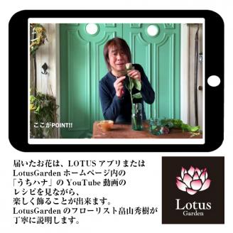 SL0238　自分でお花を飾ろう「うちハナキット」体験