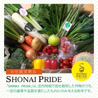 SA0587　SHONAI PRIDE　季節のこだわり野菜セット