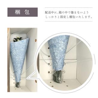 SBT0011　《定期便　12ヵ月》　ご命日の仏花　1束