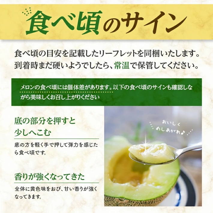 SA2826　アールスメロン 大玉　3.2kg以上(2玉入) つる付き
