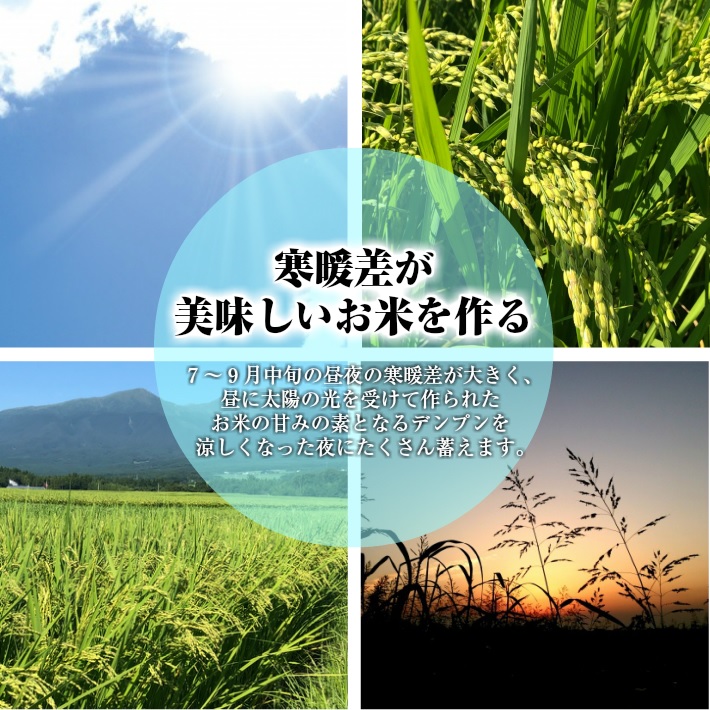 SE0483　令和7年産 【精米】 つや姫 ・ 雪若丸 計10kg(5kg×2袋) AB