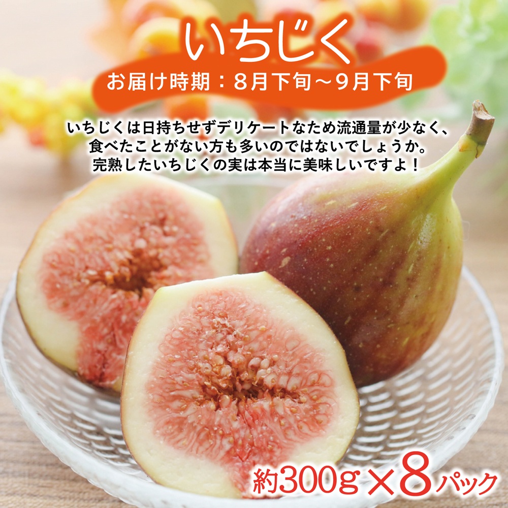 SE0464　【3回定期便】農家直送 旬のフルーツ定期便2026 (いちご、庄内メロン、いちじく)