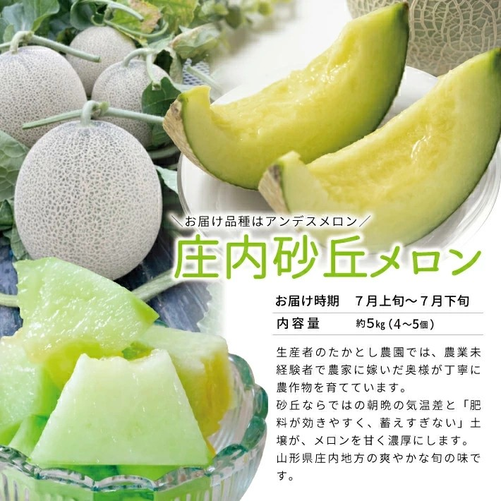 SE0520　【3回定期便】春・夏・秋 フルーツリレー2026 (イチゴ・アンデスメロン・シャインマスカット)