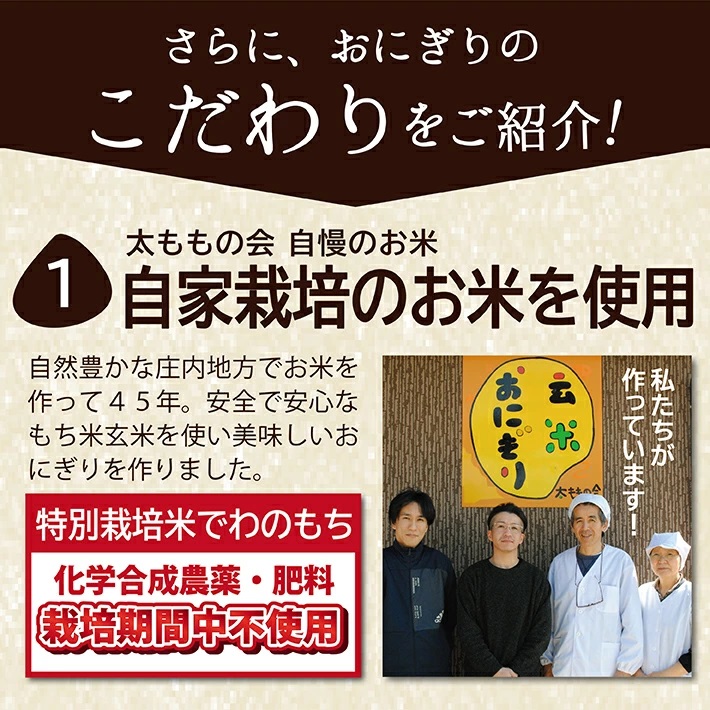 SA0875　もち米 玄米おにぎりセット　計20個(4種×各5個)