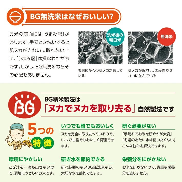 SD0241　令和7年産【無洗米】はえぬき　10kg(5kg×2袋) TO