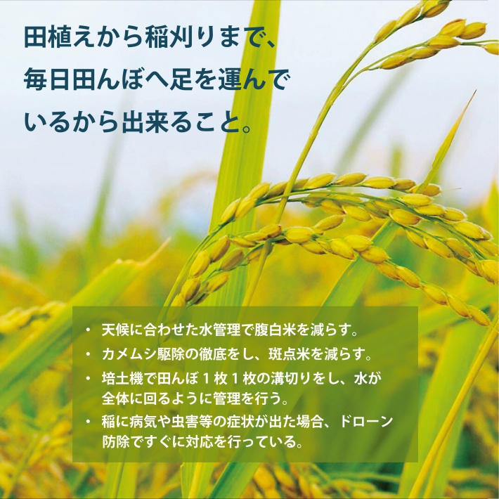 SE0455　令和6年産【玄米】はえぬき　12kg(5kg×2袋+2kg×1袋) YA