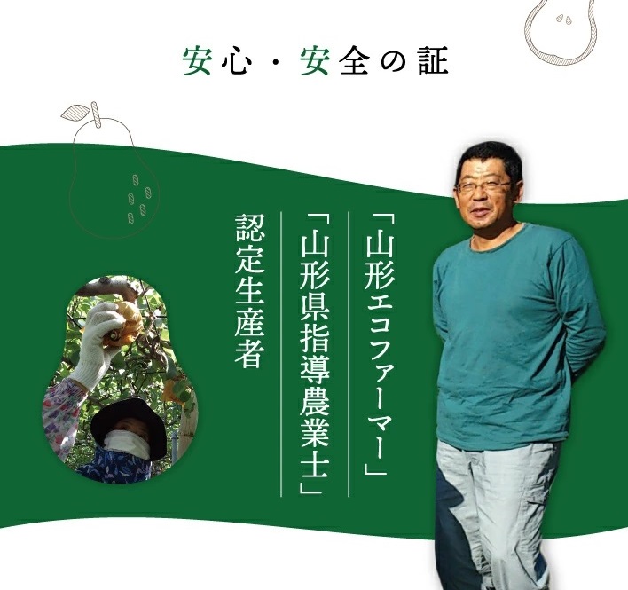 SA2719　六代多右エ門　西洋梨 特選 ラ・フランス《山形セレクション》　約3kg(9～10玉) 2L～3Lサイズ 化粧箱入