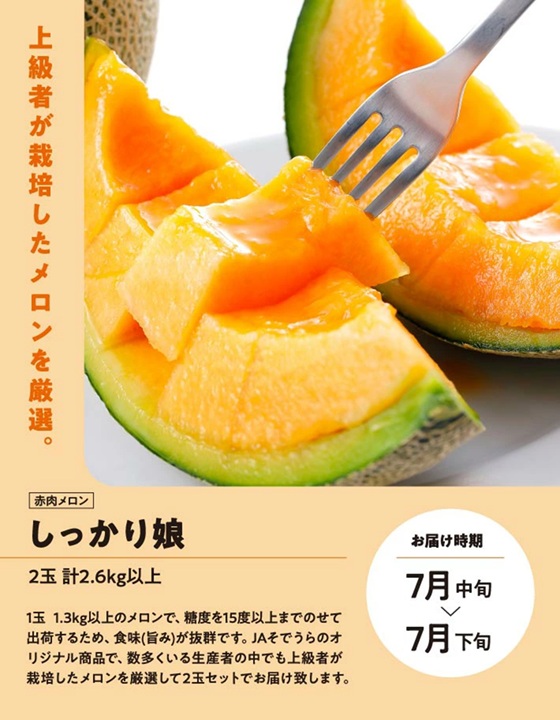 SE0503　【3回定期便】メロン好きに贈る メロンづくしの定期便2026(1) (アンデスメロン、しっかり娘、アールスメロン)