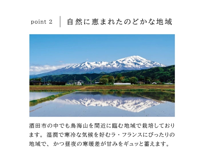 SA2579　有袋栽培 ラ・フランス　約3kg(7～10玉入) 化粧箱入