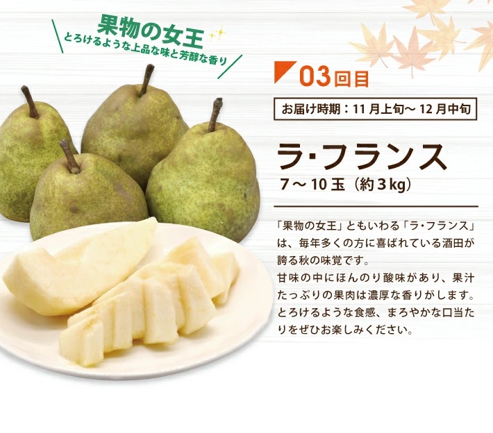 SE0478　【3回定期便】酒田から秋のフルーツ定期便2026 (刈屋梨、庄内柿、ラ・フランス)