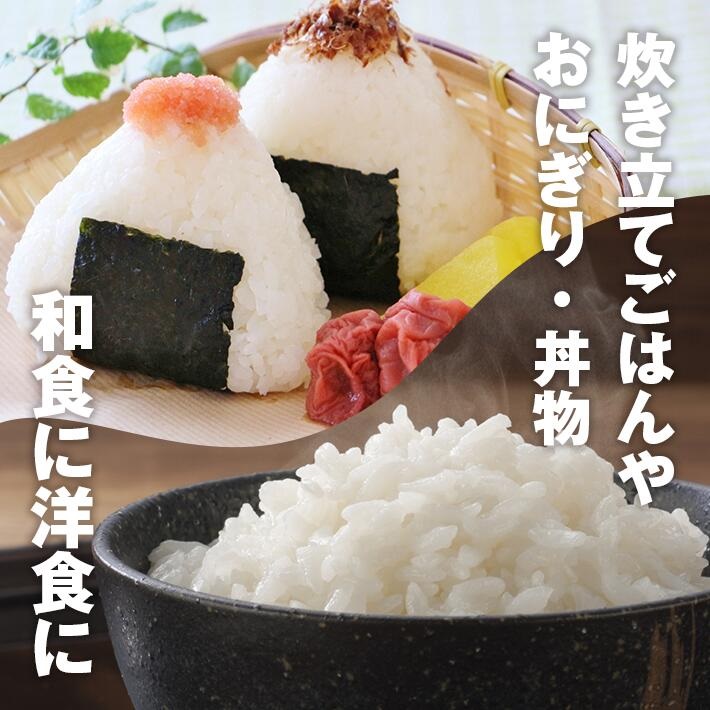 SN0018　【6回定期便】［精米］庄内米味比べ　5kg×6回(計30kg)　あきたこまち、コシヒカリ、ひとめぼれ、はえぬき、雪若丸、つや姫 TO